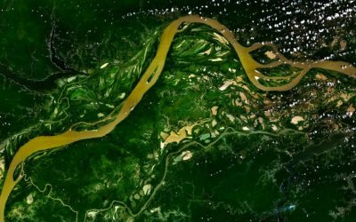 Écologies du Nord et du Sud : les communs comme exemple de réappropriation populaire de l’environnement naturel et urbain